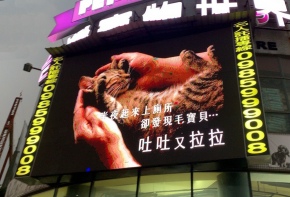 彩虹光電 P8 全彩電視牆 招牌 LED跑馬燈 LED字幕機 字幕機